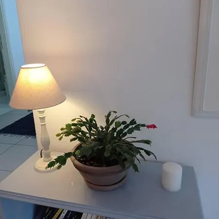Asterias Apartment